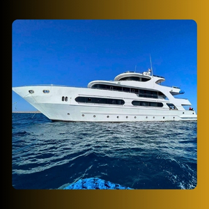Yachts & Boats (7)