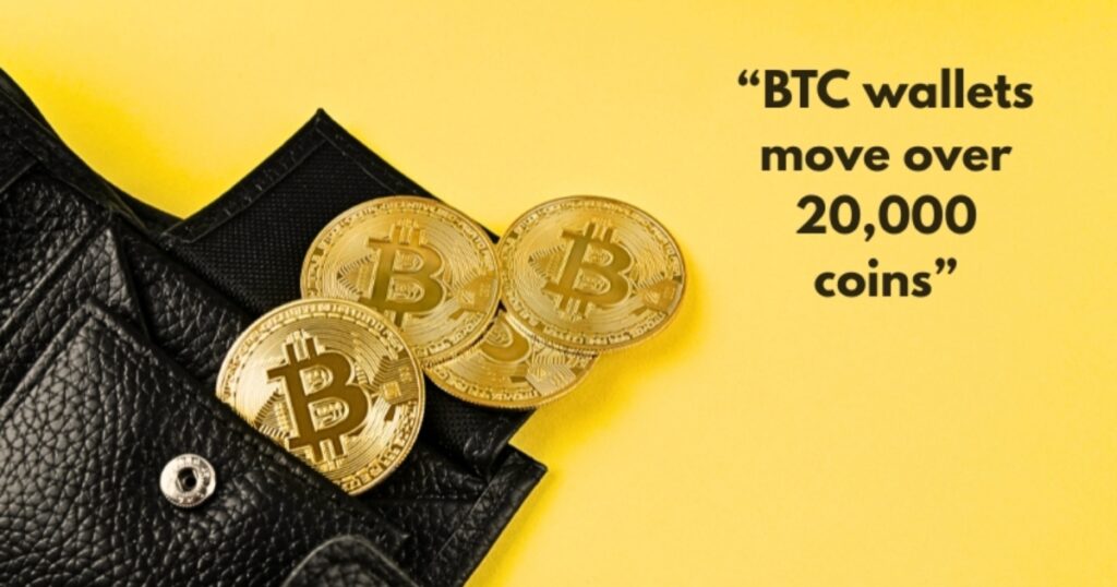 After 14 years of silence, early BTC wallets move over 20,000 coins—now worth billions—sparking mystery and speculation in the crypto market